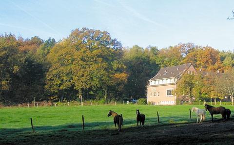 Forsthaus Schoental Hotel Aachen Eksteriør billede